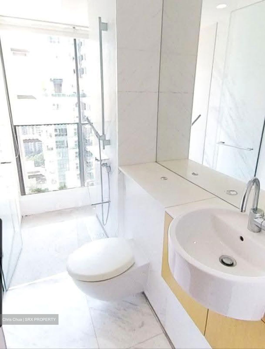 Newton Suites (D11), Apartment #624938661
